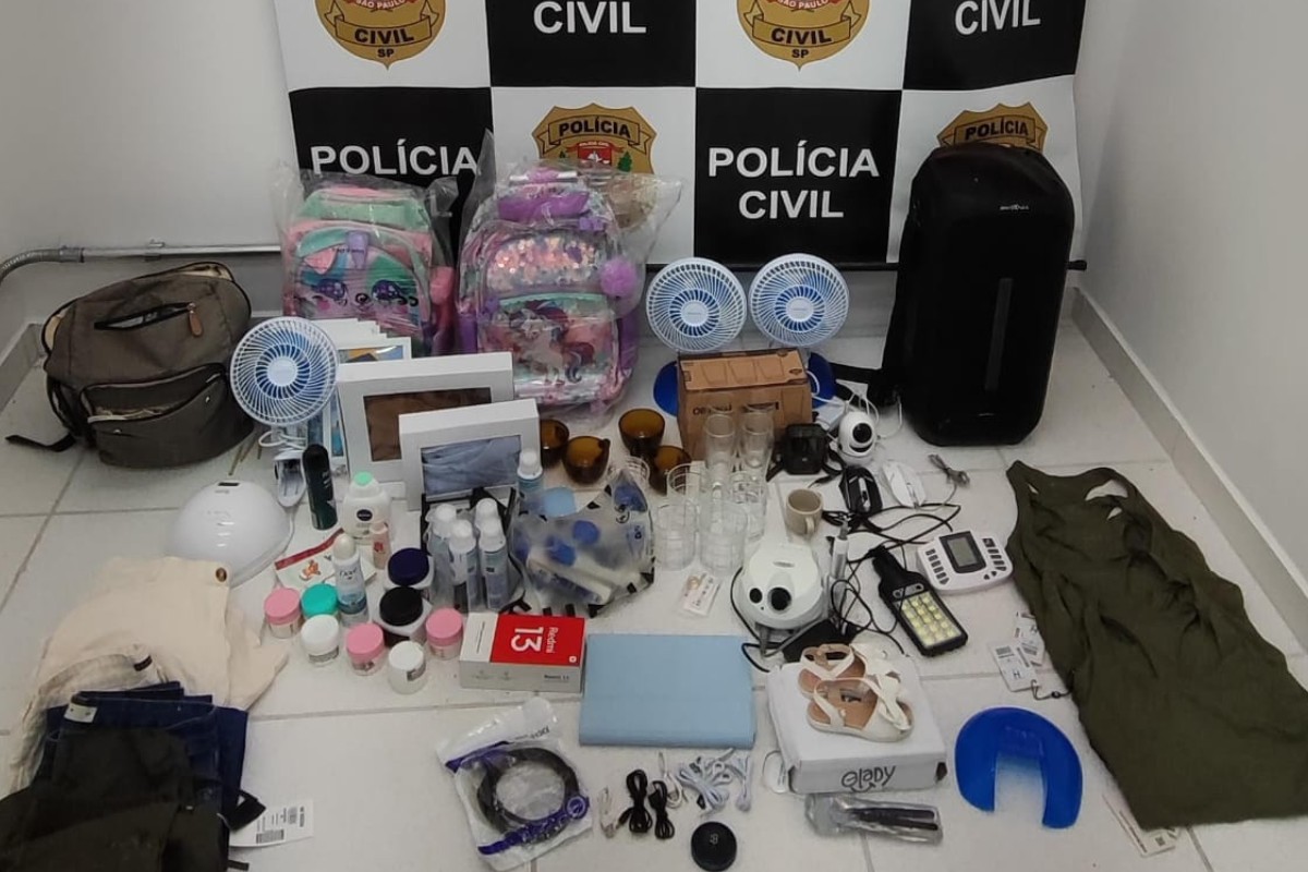 Dupla é presa durante operação da Polícia Civil contra crimes patrimoniais no interior de SP | Santos e Região