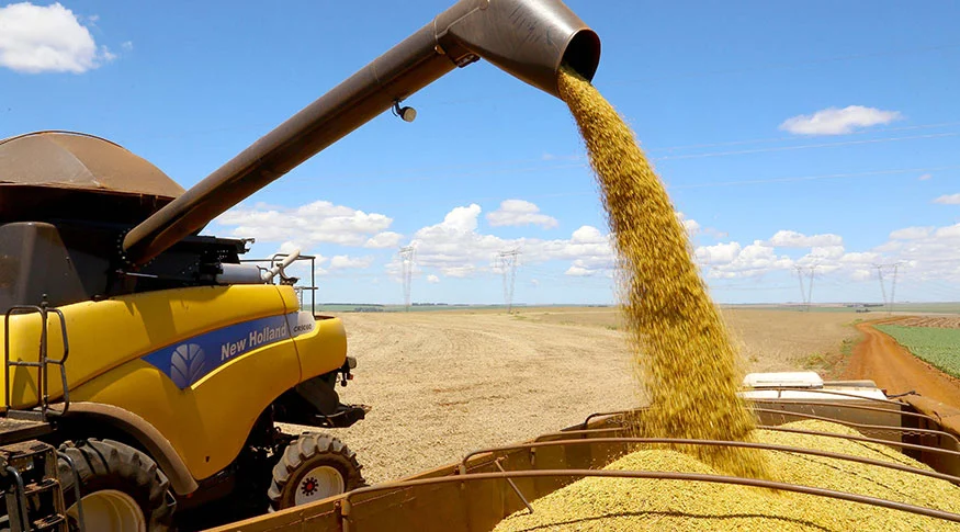 Estimativa de abril indica safra recorde em 2025