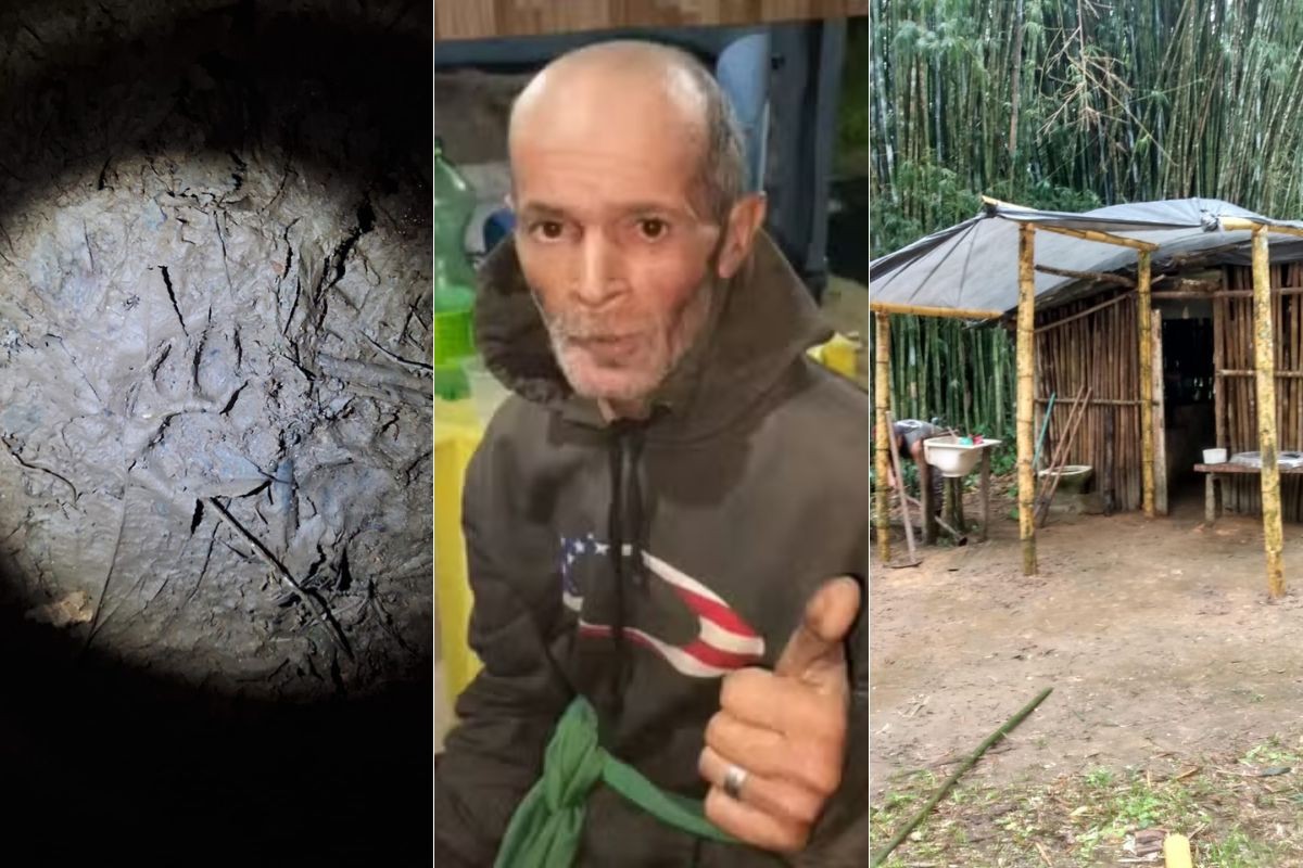 Filho de idoso encontrado após 15 dias perdido na mata conta como pai sobreviveu e que cadela foi ‘heroína’; VÍDEO | Santos e Região