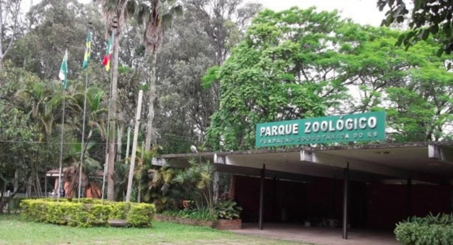 Gansos e patos morrem por gripe aviária em zoológico no RS