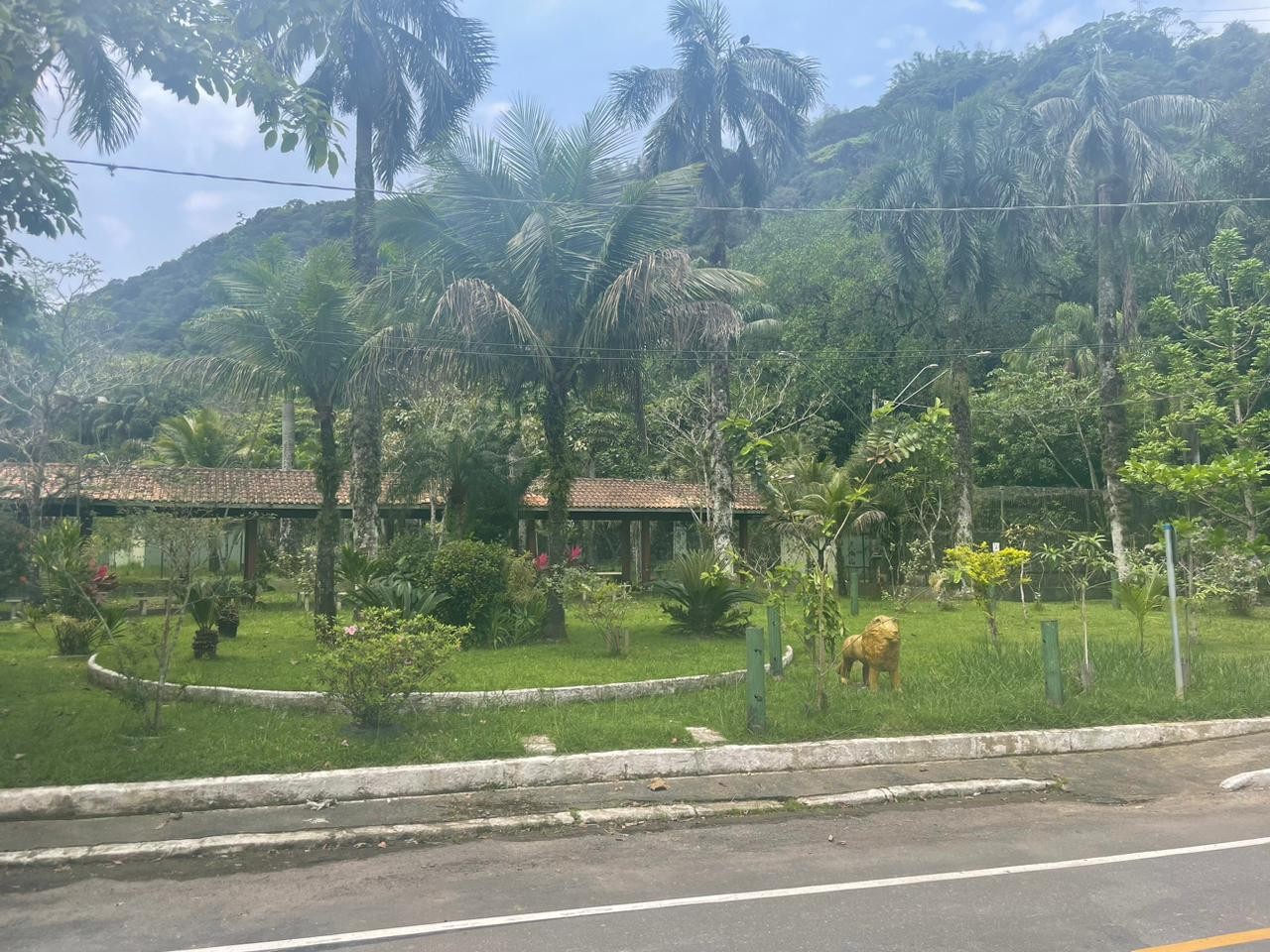 Hipopótamo Ramon pode se despedir do Horto de São Vicente para viver no Zoológico de SP | Santos e Região