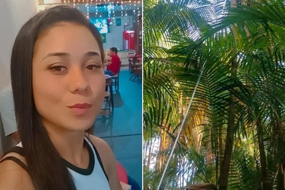 Jovem morre após sofrer descarga elétrica durante colheita de açaí em fazenda no interior de SP | Santos e Região