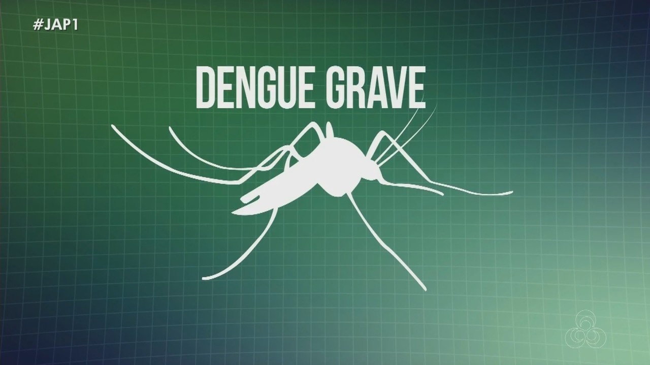 Baixada Santista, SP, registra 7 mortes por dengue em 2025