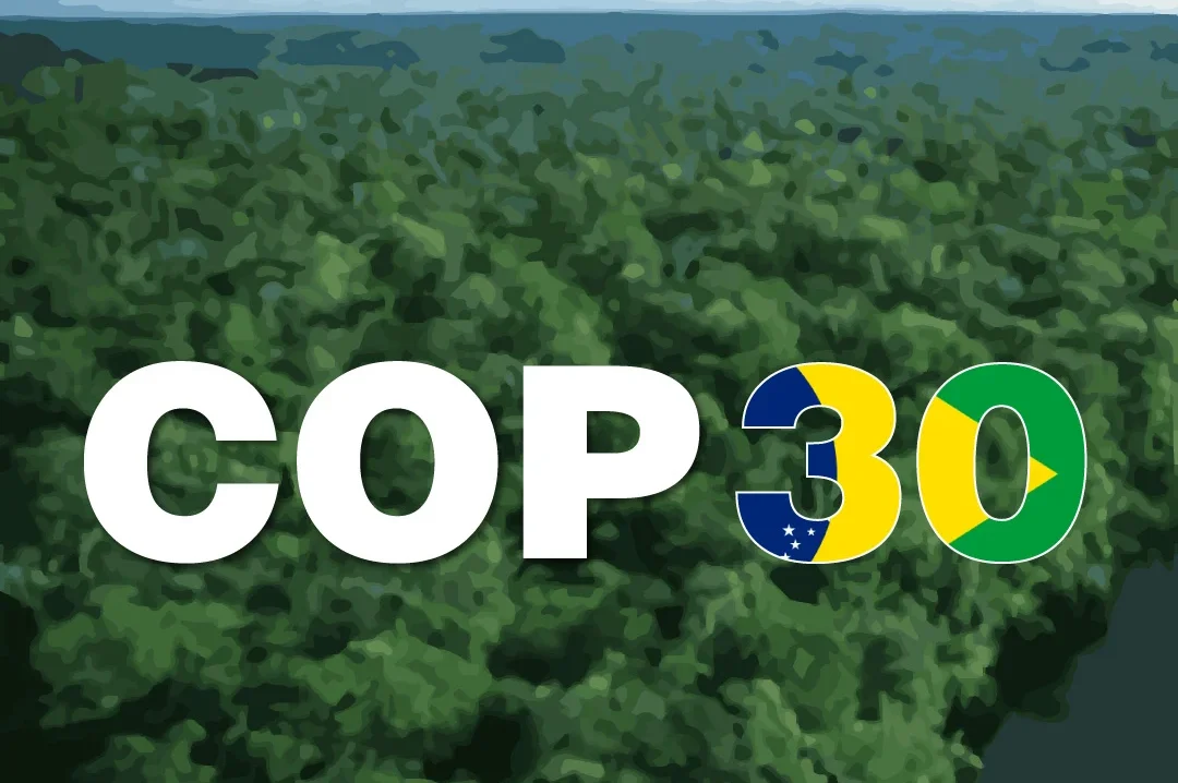 Cooperação regional pela Amazônia é chave para fazer da COP30 a COP da implementação
