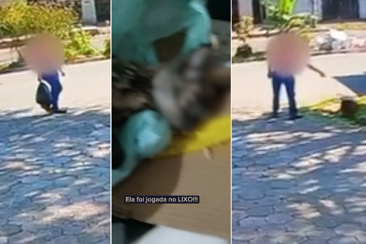 Idoso filmado abandonando gata em saco de lixo achou que animal era oferenda
