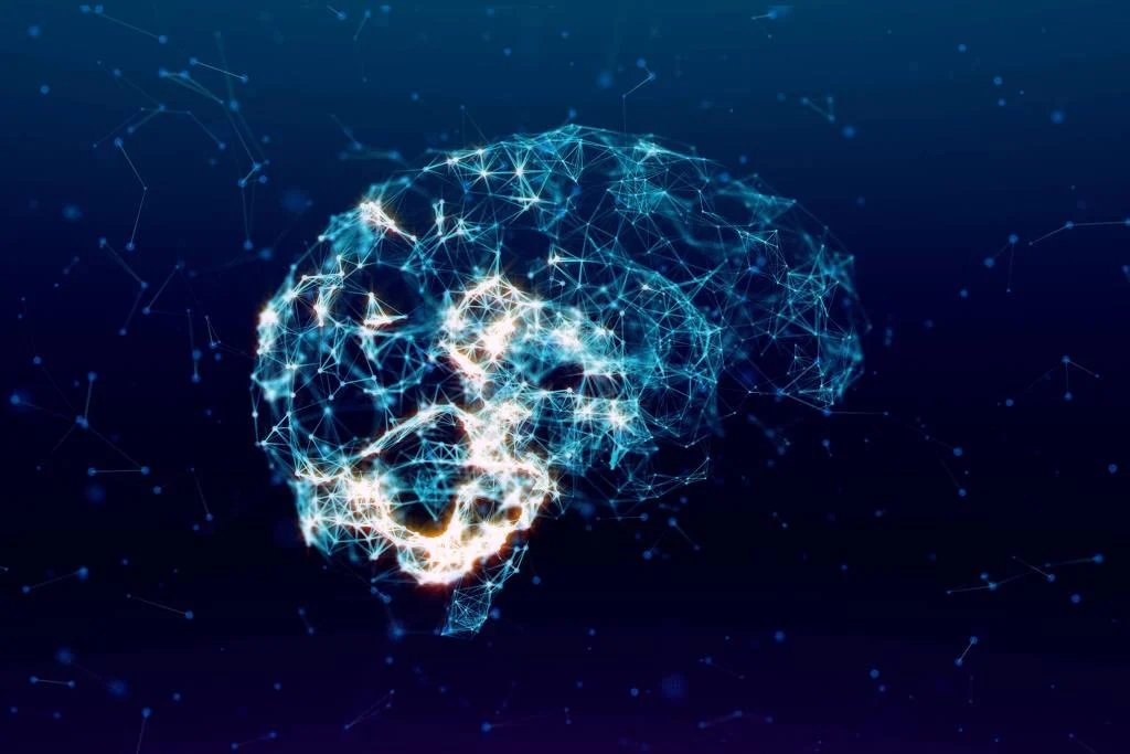 Pesquisadores brasileiros descobrem molécula que pode reverter declínio cognitivo