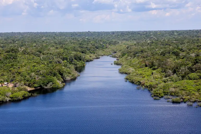 Pantanal e Amazônia tiveram em 2024 aquecimento superior a 1,5ºC