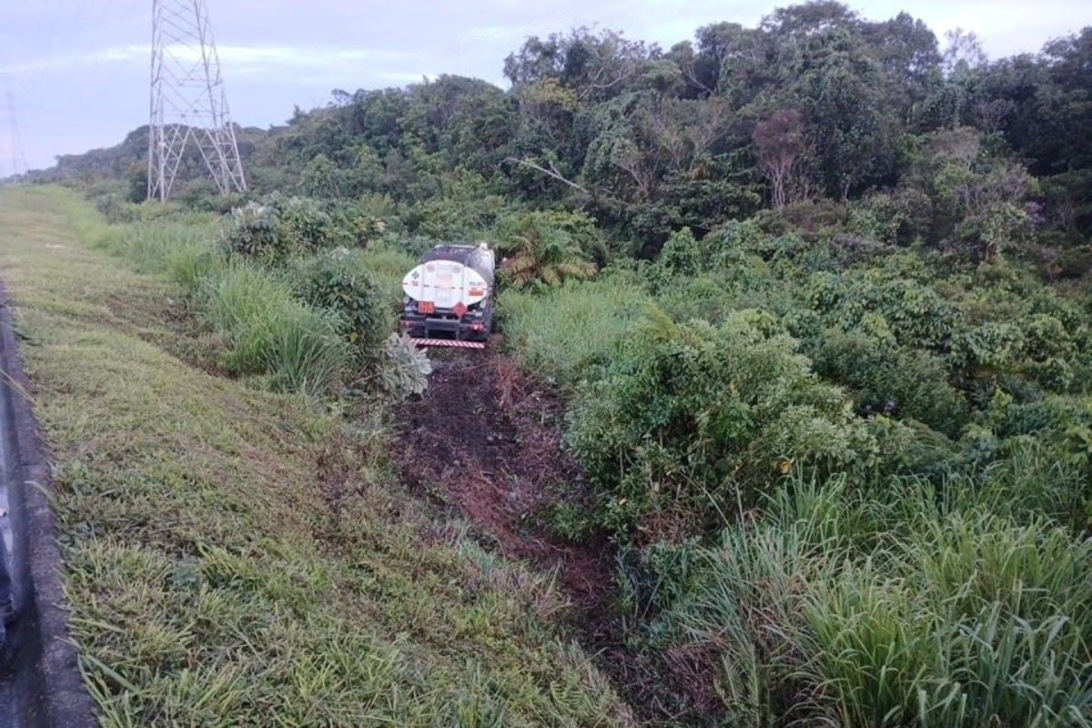 Besouro invade cabine de caminhão, assusta motorista e veículo despenca em barranco