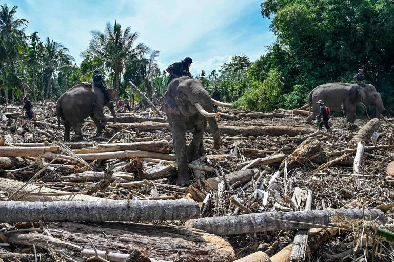 Economia verde pode render US$ 20 trilhões anuais em 2070 e salvar milhões, diz ONU