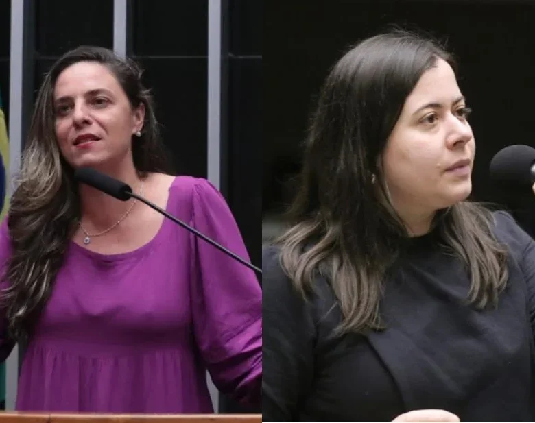 Melchionna e Sâmia propõem acolhimento a vítimas de violência doméstica em empresas