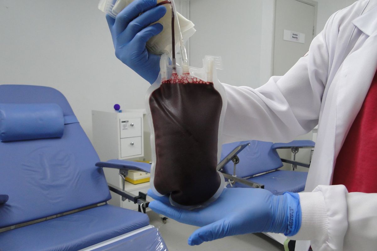 Veja o que se sabe sobre o caso da família que entrou na Justiça após Testemunha de Jeová receber transfusão de sangue