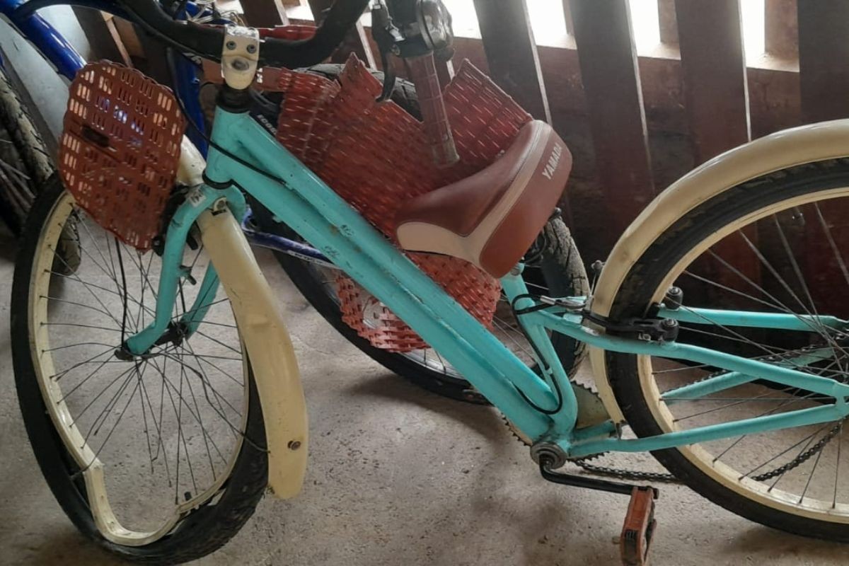 Audiência sobre ciclista atropelada por charrete acontece no litoral de SP