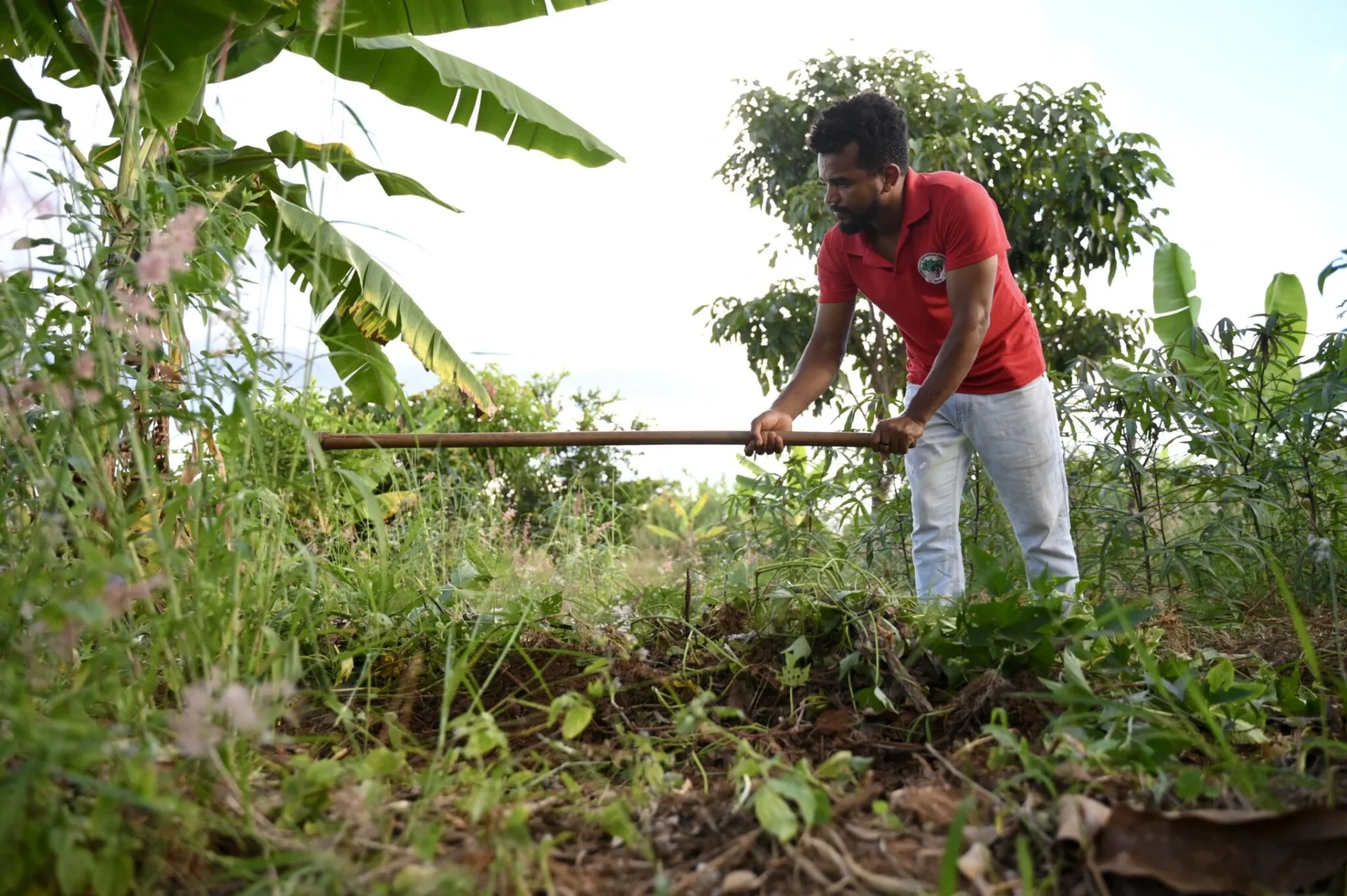 Depois de 64 anos, área onde surgiu as Ligas Camponesas na Paraíba é regularizada