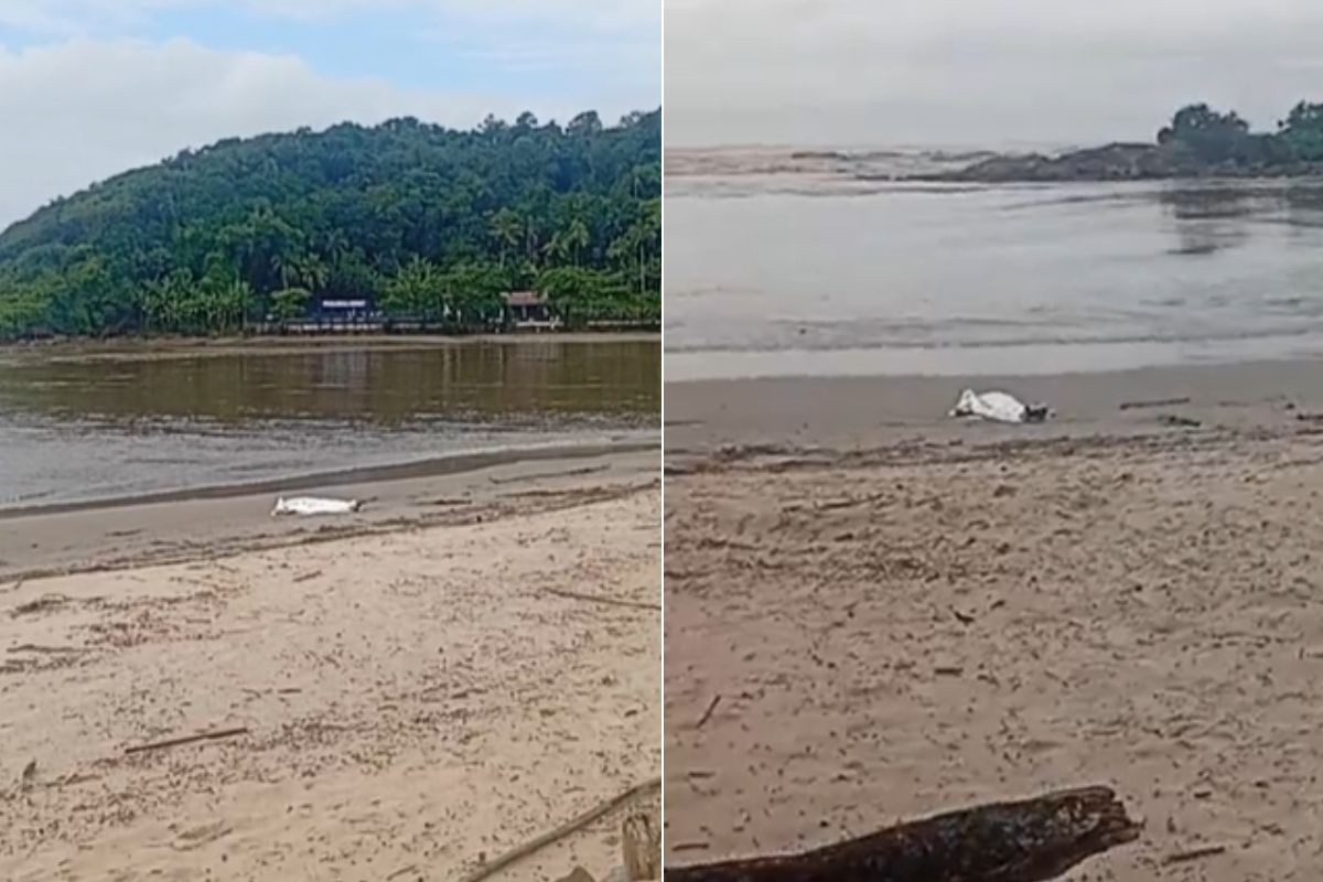 Mulher é encontrada em praia no litoral de SP; polícia investiga morte suspeita