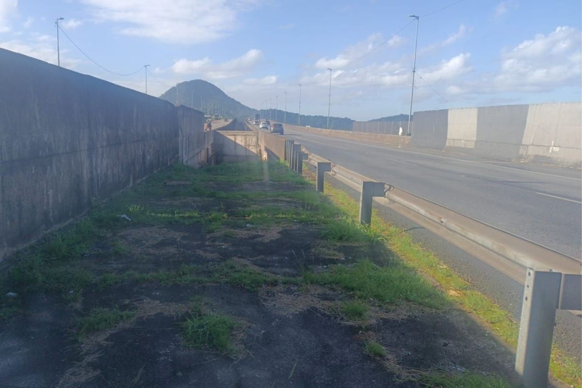 Mulher é encontrada morta com sinais de violência em canteiro da rodovia dos Imigrantes