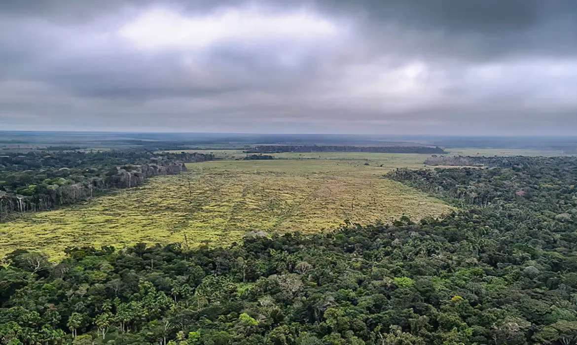 PL sobre crimes ambientais pode prejudicar até 70% das ações do Ibama na Amazônia