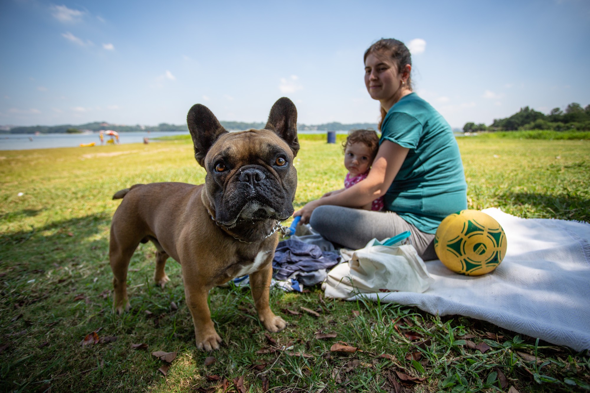 São Vicente anuncia Parque Pet na orla do Itararé; veja como será