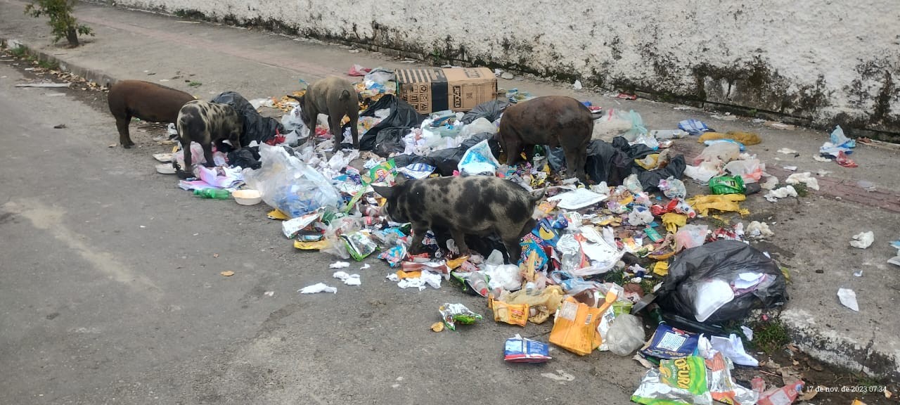Projeto de lei sugere nova ‘regra do lixo’ em São Vicente