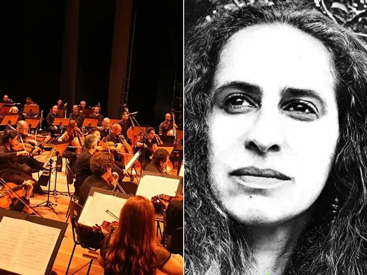 14ª edição do Santos Jazz Festival tem homenagens para Maria Bethânia