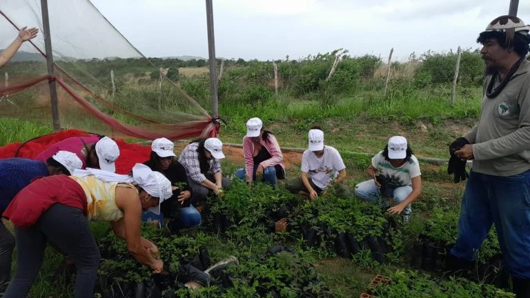 Feira agroecológica do MST acontece em Jarinu (SP)
