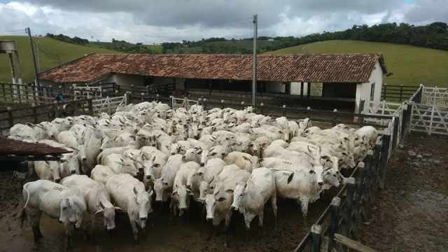 Governo brasileiro turbina negociação com União Europeia para evitar suspensão de venda da carne