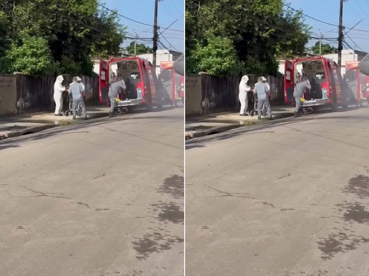 Homem fica inconsciente após ser atacado por enxame de abelhas no lito