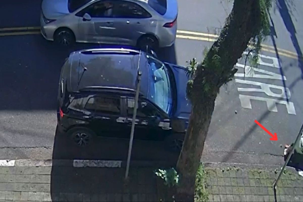 Motorista que atropelou idosa de 81 anos diz que não notou acidente