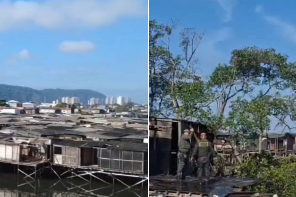 Polícia Ambiental demole construção irregular em área de manguezal