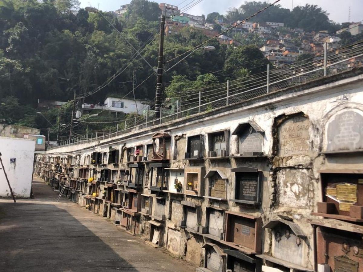 Santos define regras e valores para sepultar animais em cemitérios