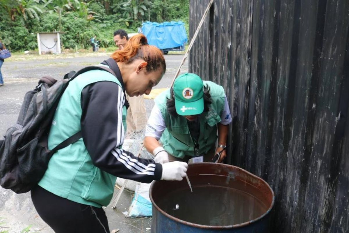 Santos testa larvicida que barra mosquito da dengue por 6 meses