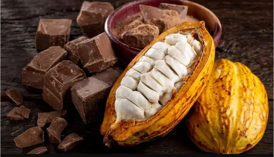 Agricultores familiares denunciam o chocolate artificial