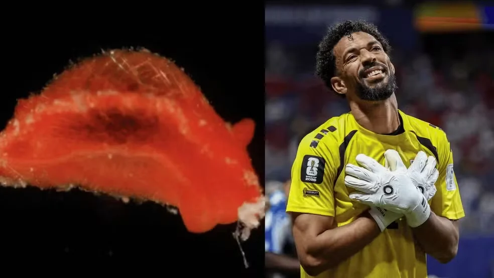 ‘Aldisa vozinha’ é homenagem ao goleiro
