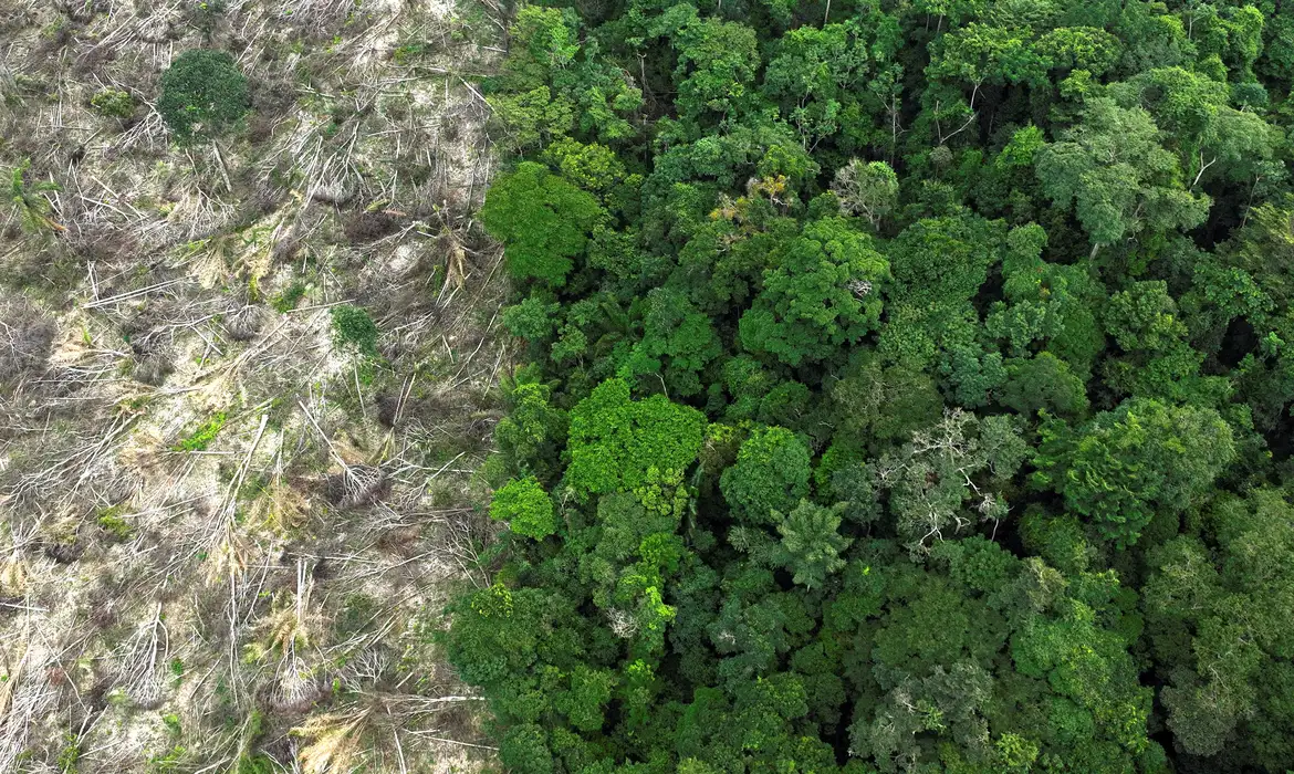 Câmara ameaça 555 mil hectares de áreas protegidas em nova ofensiva antiambiental