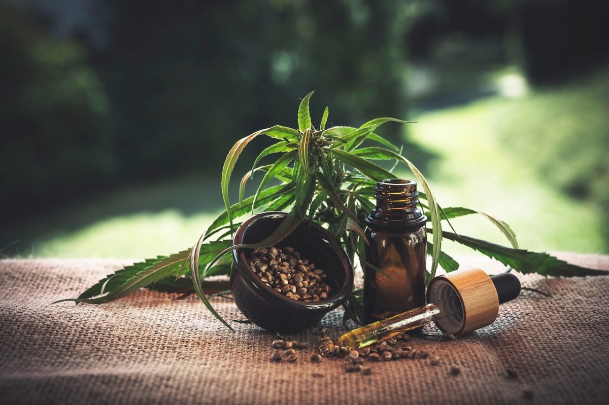 Cannabis medicinal: roda de conversa gratuita debate uso em Santos