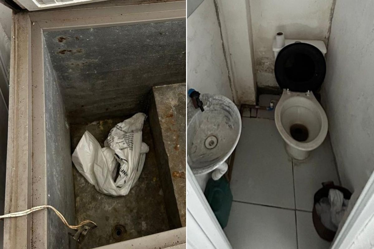 Clínica veterinária com alvará falso é fechada após denúncia de morte de cachorro no litoral de SP