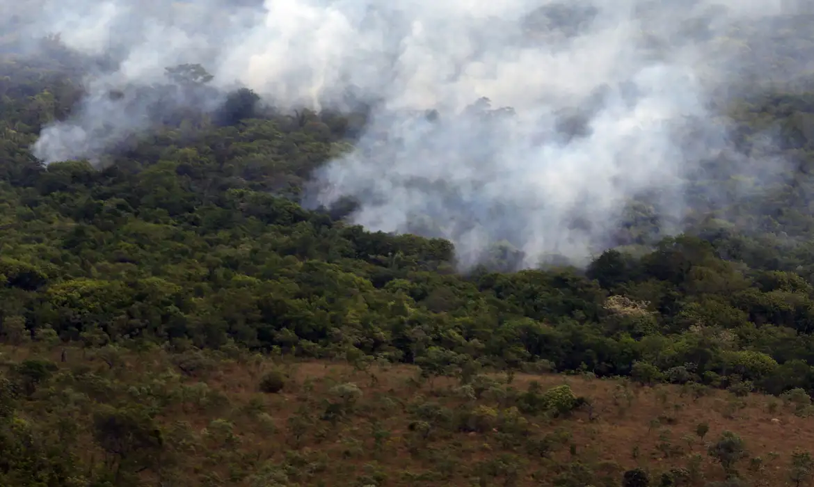 Copernicus: emissão global de gases por incêndios é a menor em 24 anos