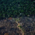 Crédito rural injetou R$ 92 bi em áreas com alerta ambiental