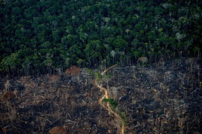 Crédito rural injetou R$ 92 bi em áreas com alerta ambiental