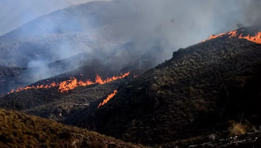 Incêndios florestais desafiam França e Espanha