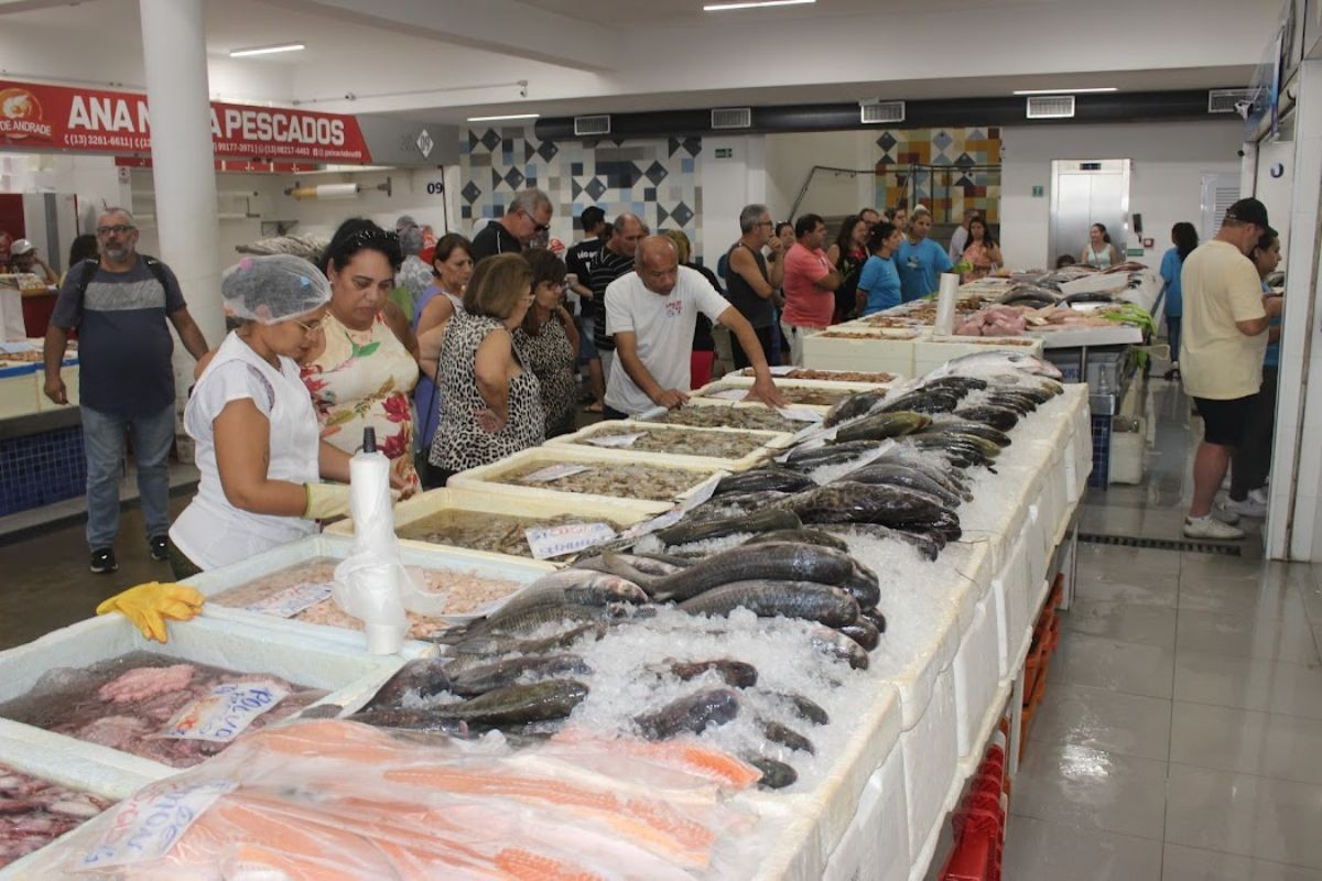 Mercado de Peixes de Santos recebe Festival da Tainha e Camarão