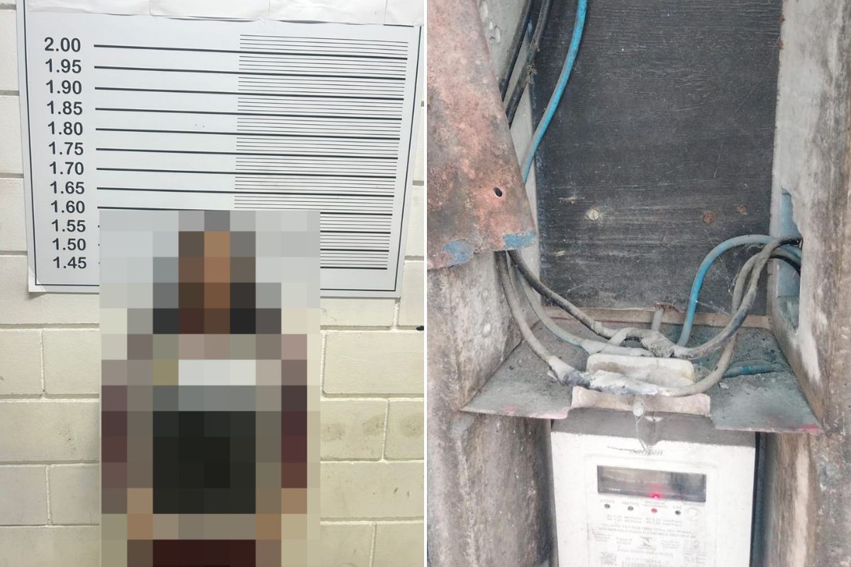 Mulher presa em adega com ‘gato’ e bebida falsa no litoral de SP