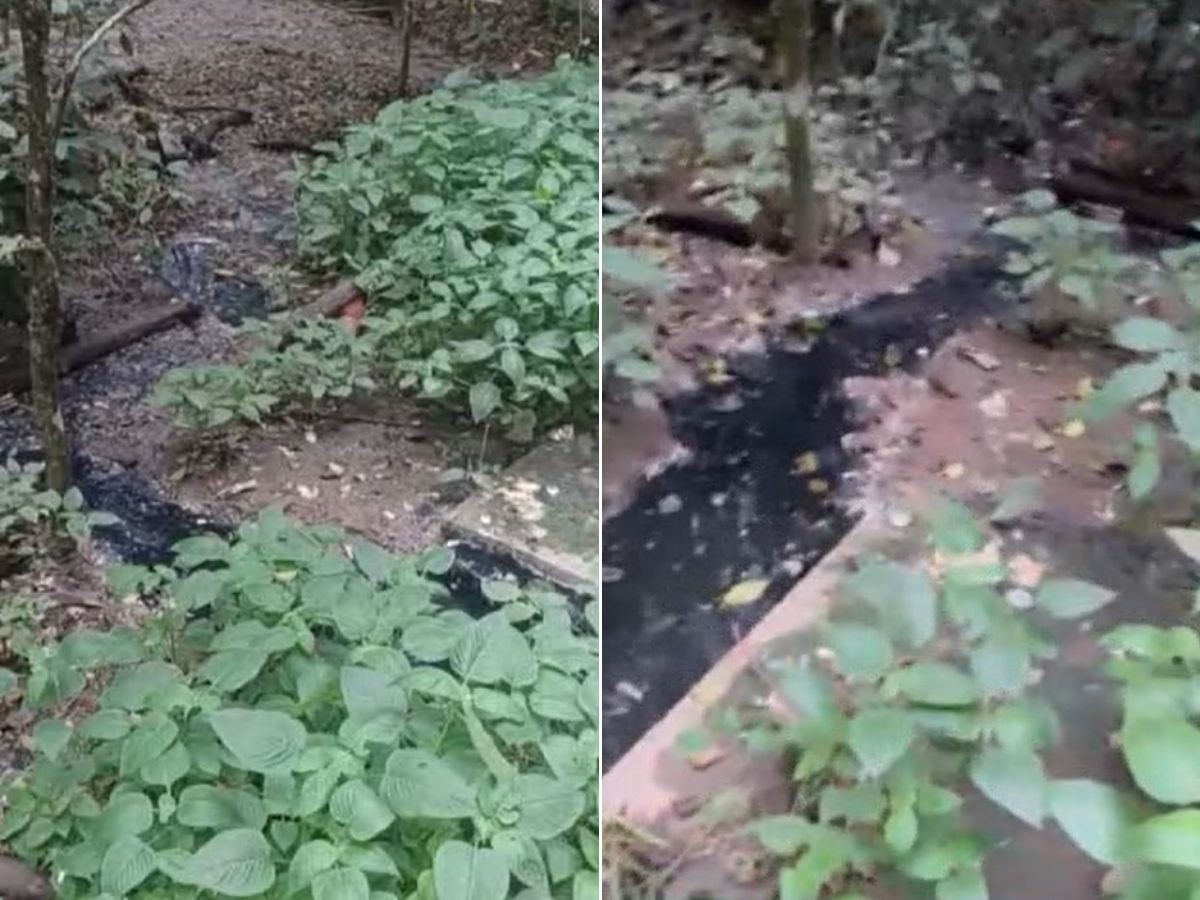 Polícia identifica falhas em usina de resíduos e apura poluição em rio