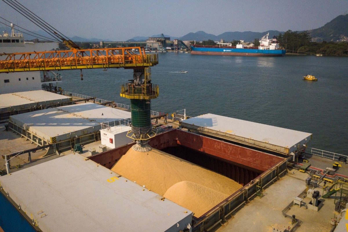 Porto de Santos firma acordo com complexo chinês para estudar transbordo de soja em alto-mar